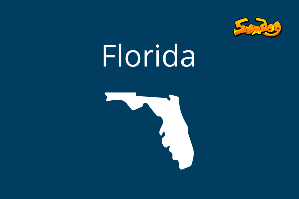  Florida state standards