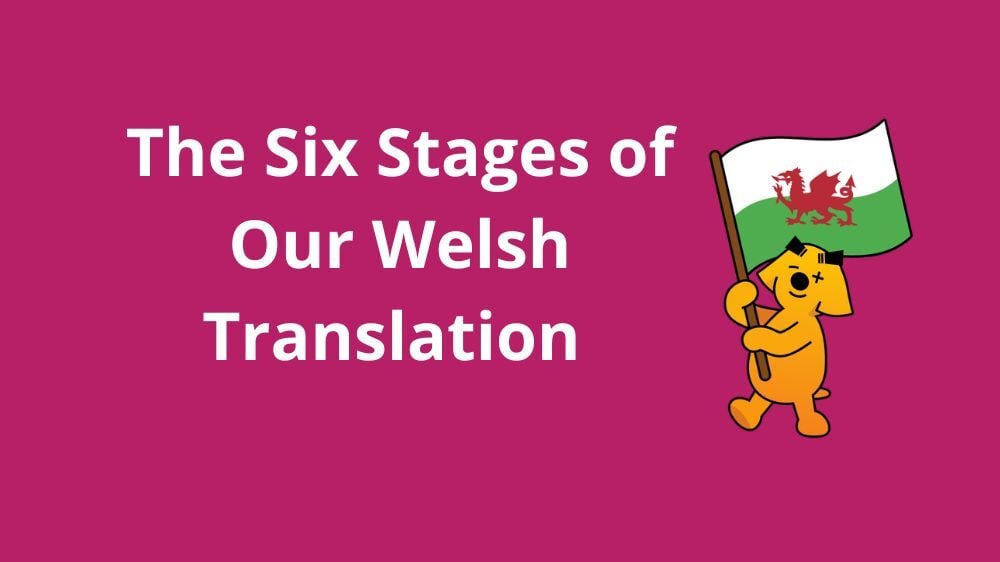 sumdog-welsh-translation-blog-stages-image